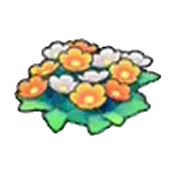 草地的花