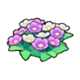 草地的花