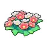 草地的花