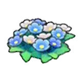 草地的花