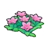 岩地的花
