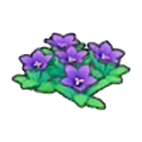 岩地的花