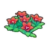岩地的花