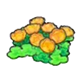 空島的花