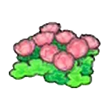 空島的花