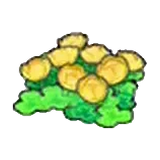 空島的花