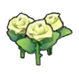 美麗的花