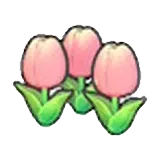 可愛的花