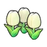 可愛的花