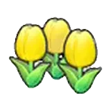 可愛的花