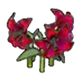 優雅的花