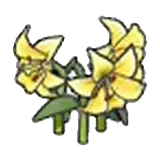 優雅的花