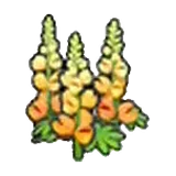 堅韌的花