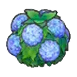水潤花籬