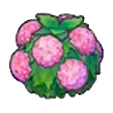 水潤花籬