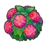水潤花籬