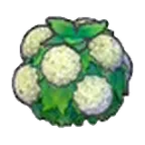 水潤花籬