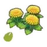 悠然的花的種子