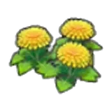 悠然的花