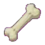 貴重骨頭