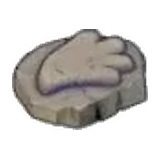 鰭之化石