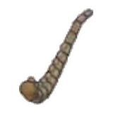 飛翼化石(尾巴)