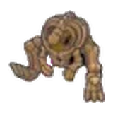 頭槌化石(身體)