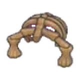 護盾化石(身體)