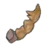 暴君化石(尾巴)