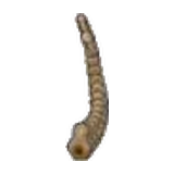 凍原化石(尾巴)