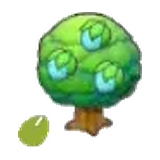 莓莓種子
