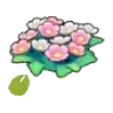 草地的花的種子