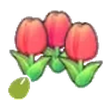 可愛的花的種子
