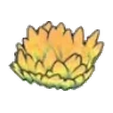 黃色的草