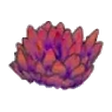 紅色的草