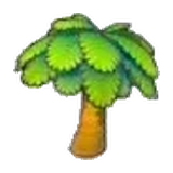 椰子樹
