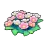草地的花