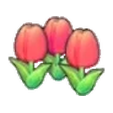 可愛的花