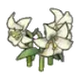 優雅的花