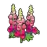 堅韌的花