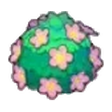 可愛花籬