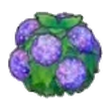 水潤花籬