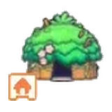 葉子小屋套組