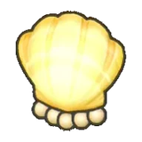 貝殼壁燈