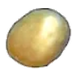 金子