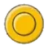 金金徽章
