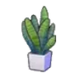 扁平植栽