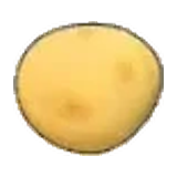 馬鈴薯